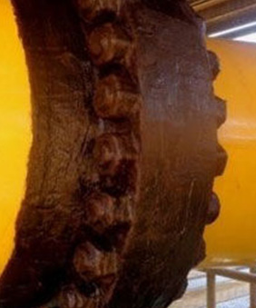 How To Protect Your Fittings Against Corrosion?
