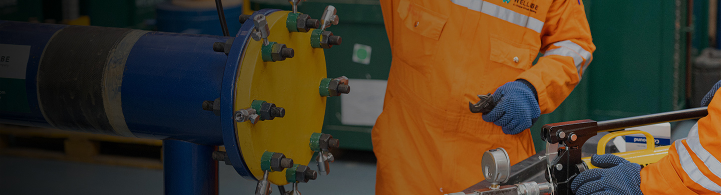 Online Leak Sealing Services in UAE alt