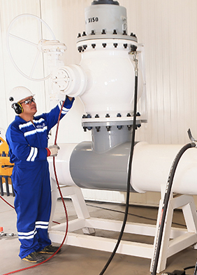 Online Valve Flushing & Lubrication Services in UAE