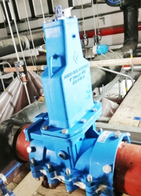 Online Valve Insertion Services