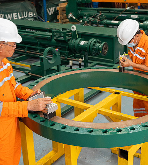Laser Flatness Inspection Services