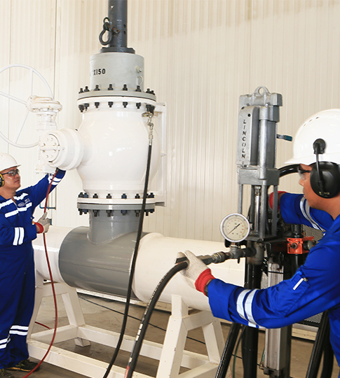 Online Valve Flushing & Lubrication Services