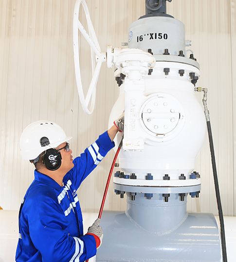 Online Valve Flushing Services in Qatar