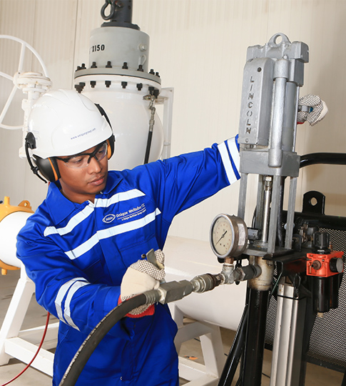 Online Valve Lubrication Services