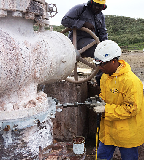 Pipeline Leak Sealing Services